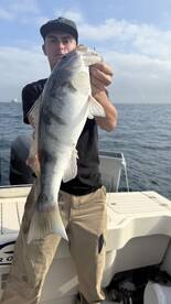 Huntington Beach Report Photo 1