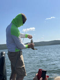 Table Rock Lake pumping oy Walleye and B