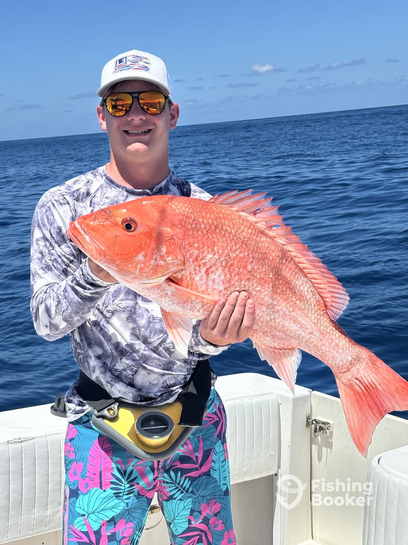 Nice throw back red snapper (out of season)