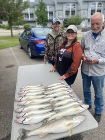 Monroe Report Photo 2