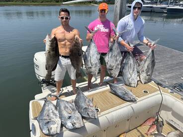 Wilmington Report Photo 1