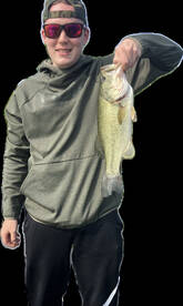 Hilton Report Photo 4