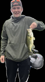 Hilton Report Photo 2