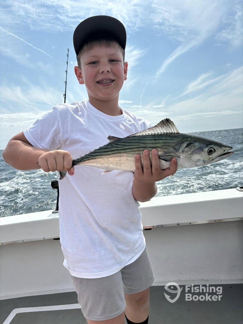 Wildwood Fishing Bonita