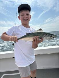 Bonita Flounder and Blues