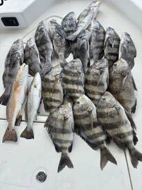 Sabine Lake Report Photo 1