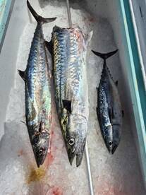 Destin Report Photo 2