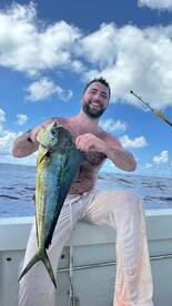 Great mahi action