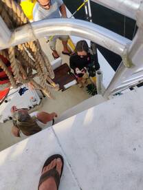 Wanchese Report Photo 2