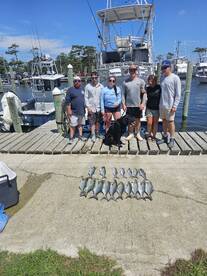 Wanchese Report Photo 2