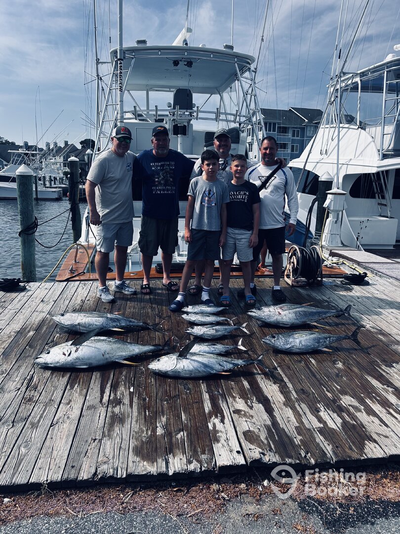 Manteo Report Photo 0