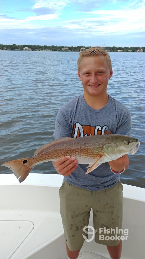Port Orange Report Photo 0