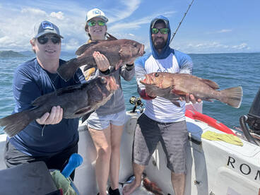 Nicoya Report Photo 1