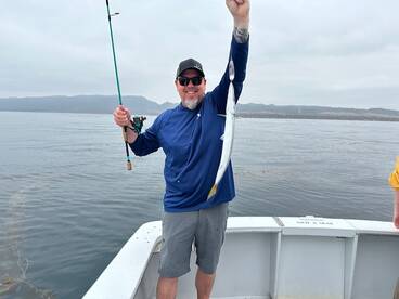 Nice Barracuda