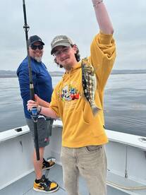 Calico Bass