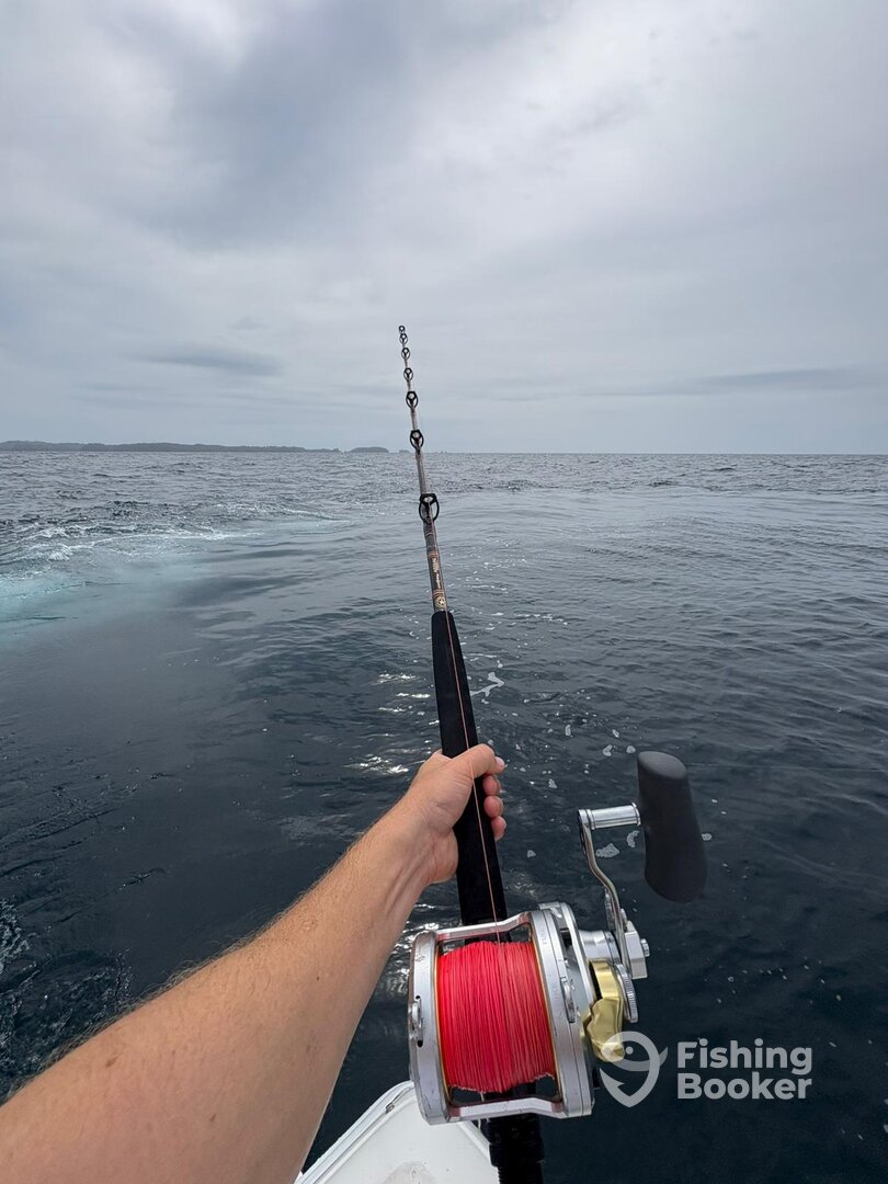 Panama City Report Photo 0