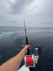 Pearl Island Trolling trip became a bott