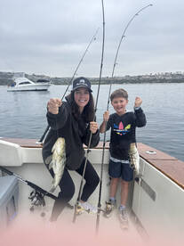 Dana Point Report Photo 1