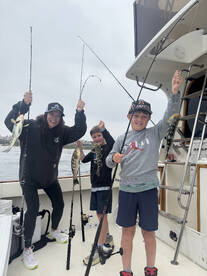 Dana Point Report Photo 2