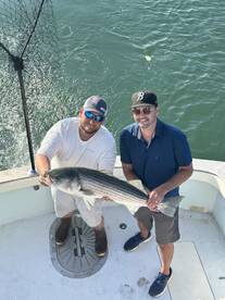 Waterford Report Photo 2