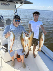 Todays catch!