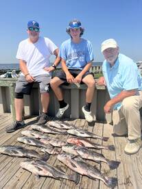 Black Drum 