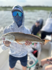 Savannah Report Photo 2