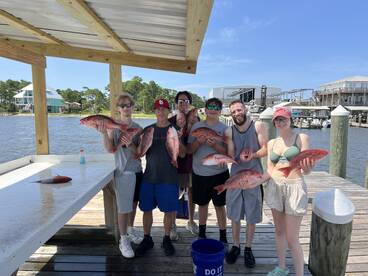 Mobile Bay Report Photo 1