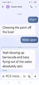 Dana Point Report Photo 2