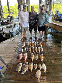 Everything Available