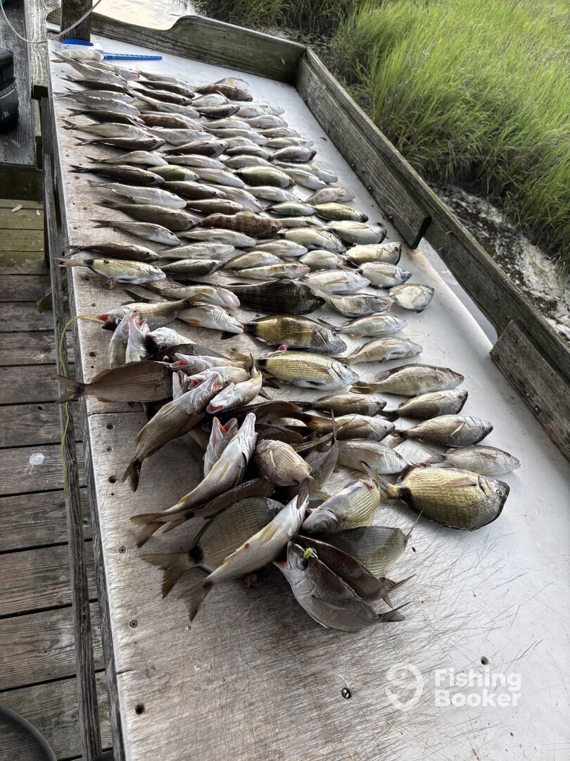 Calabash Report Photo 0
