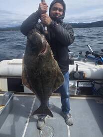 Halibut fishing in sooke is non stop!