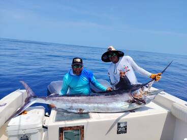 Fishing is hot ?in Puerto Vallarta !!!?