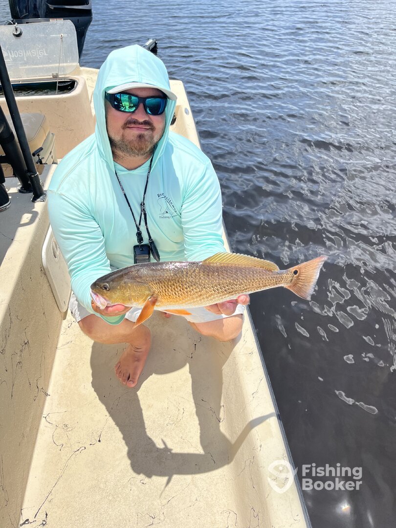 Punta Gorda Report Photo 0