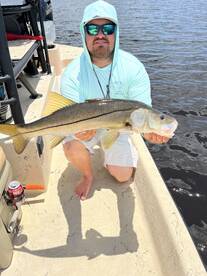 Punta Gorda Report Photo 1