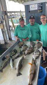 Galveston Report Photo 1