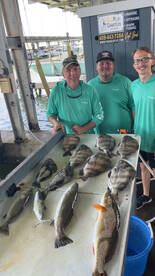 Galveston Report Photo 1