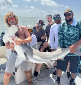 Galveston Report Photo 2