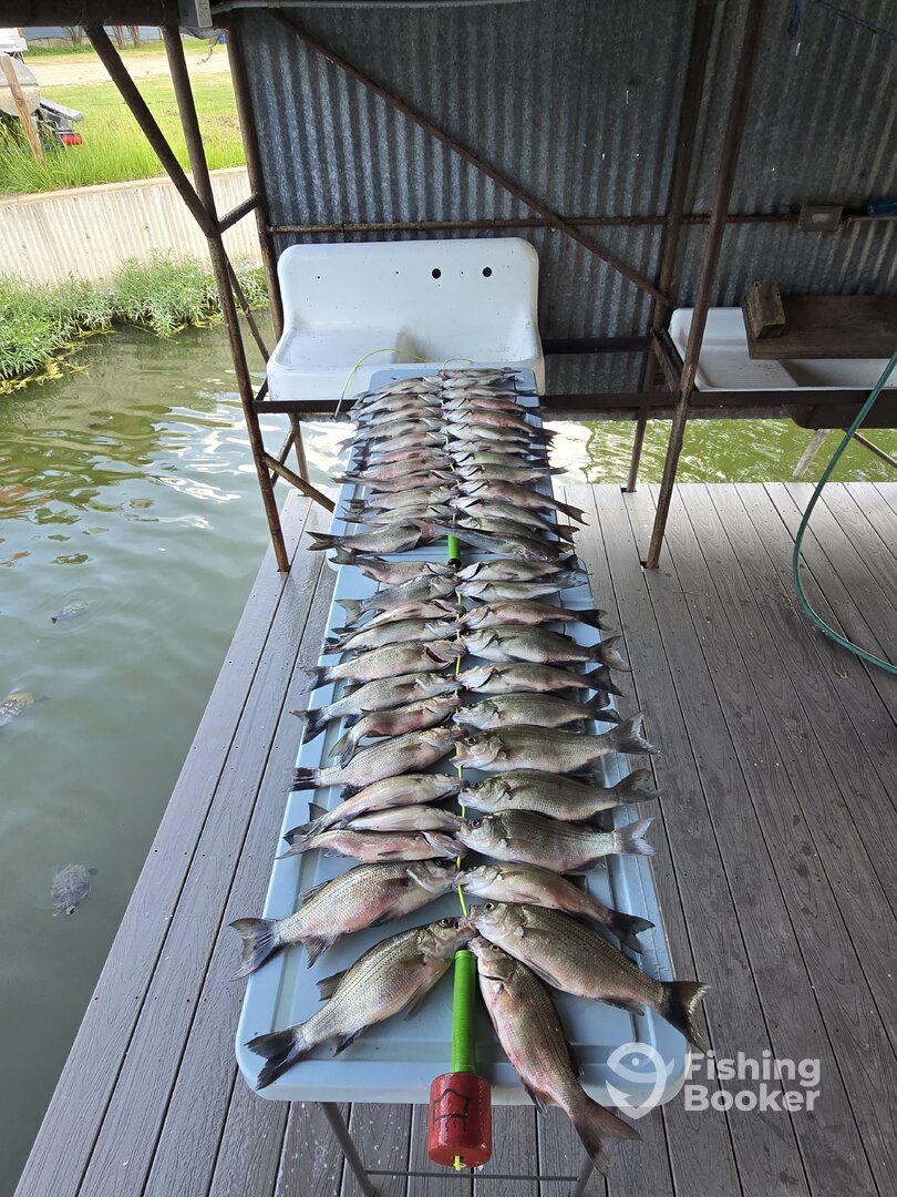 West Tawakoni Report Photo 0
