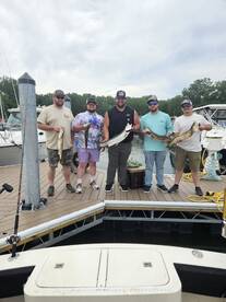 Erie Report Photo 1