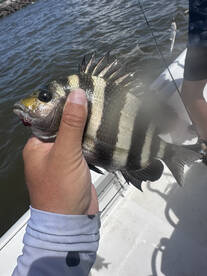 Tough fishin but still catching