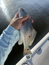 Lake Charles Report Photo 1