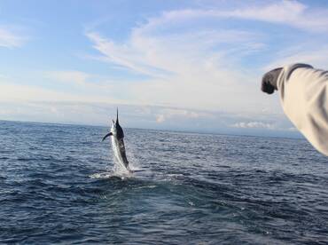 Quepos Report Photo 1