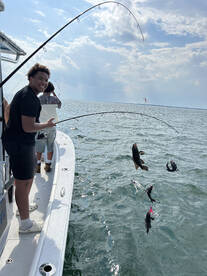 Barnstable Report Photo 2