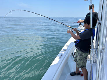 Cape Cod Report Photo 1