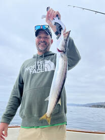 Dana Point Report Photo 2