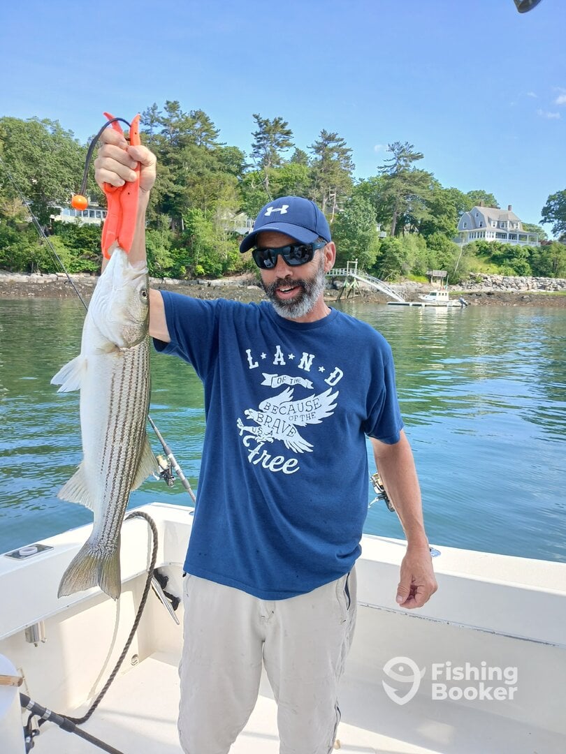 South Portland Report Photo 0