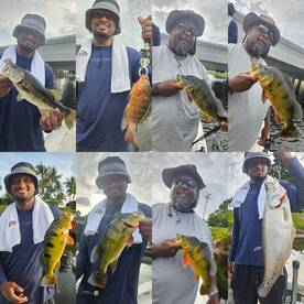 If it swims we definitely caught it toda