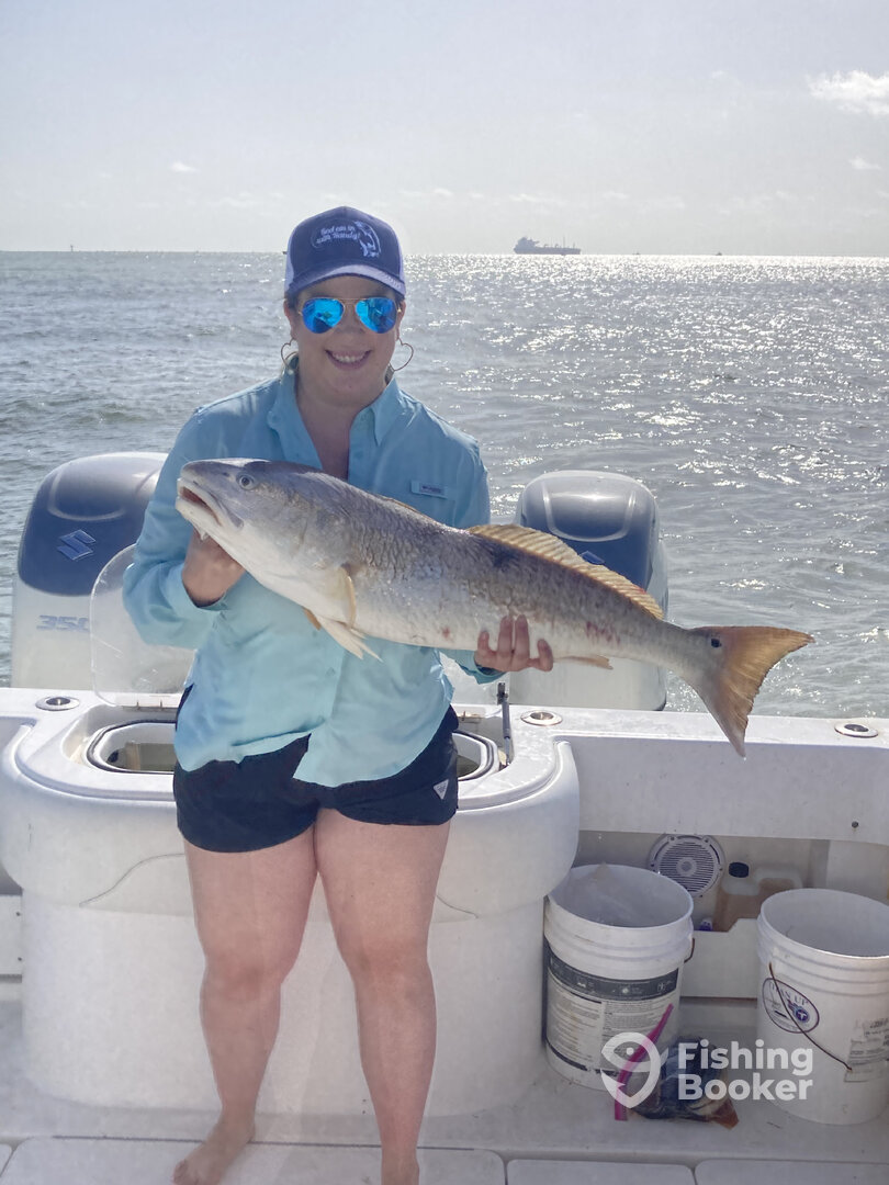 Galveston Report Photo 0