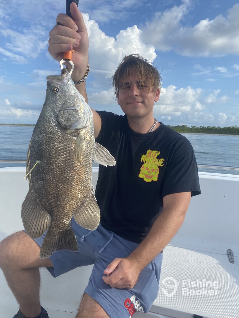Apalachicola Report Photo 0